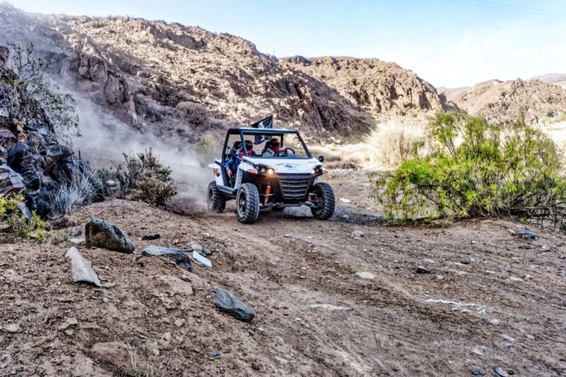 Gran Canaria Guided Buggy Tour - Highlights of the Tour