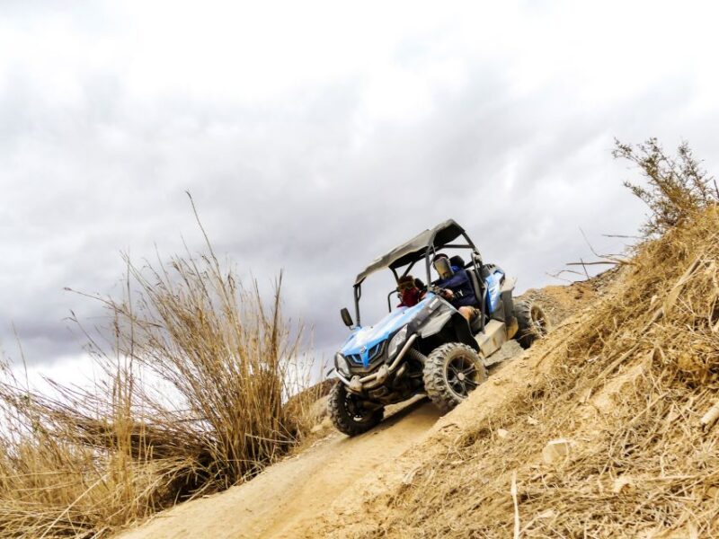 Gran Canaria Guided Buggy Tour - Whats Included