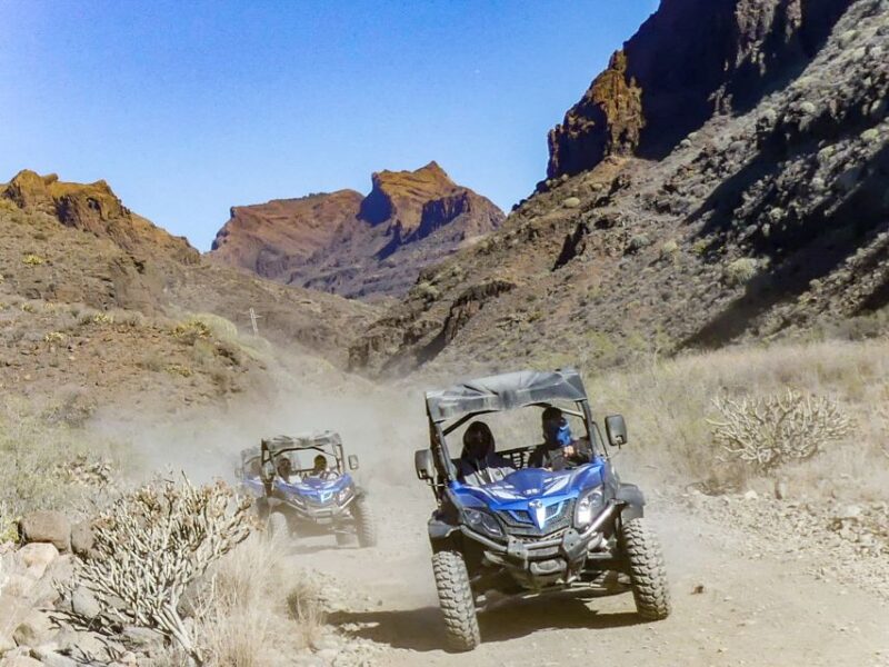 Gran Canaria Guided Buggy Tour - Whats Not Included