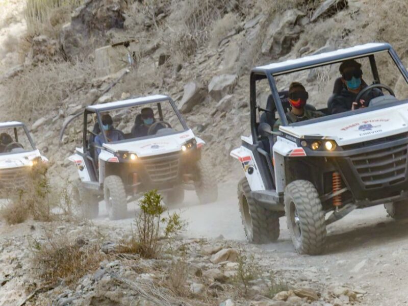 Gran Canaria Guided Buggy Tour - Drivers License Requirement