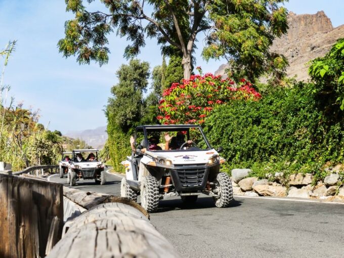 Gran Canaria Guided Buggy Tour - Participant Restrictions