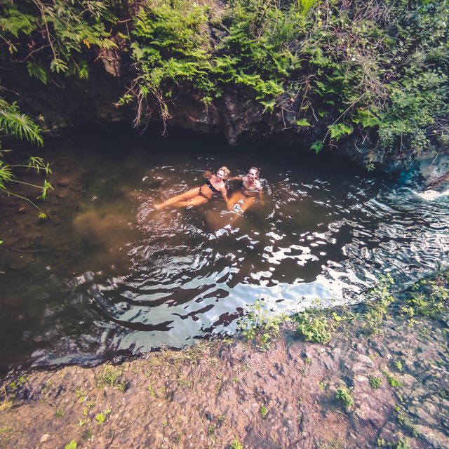 Gran Canaria: Guided Day Tour to Rainforest With Tasting - Included and Excluded