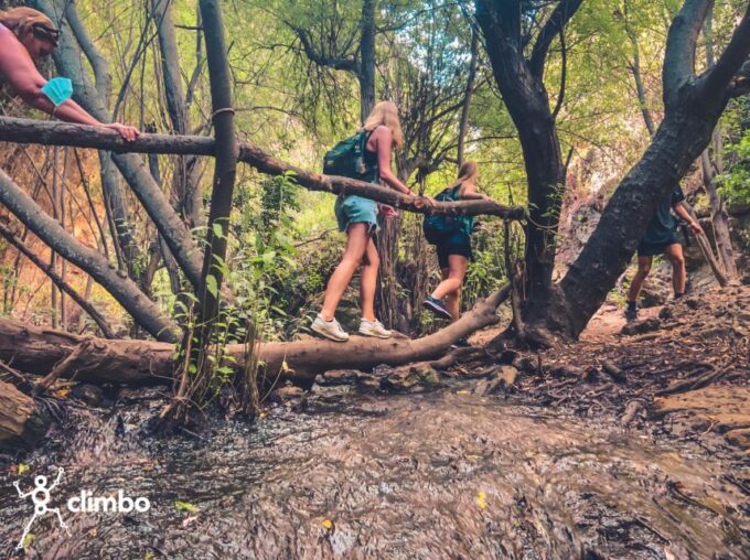 Gran Canaria: Guided Day Tour to Rainforest With Tasting - Weather and Terrain Considerations