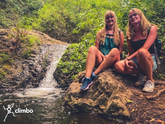 Gran Canaria: Guided Day Tour to Rainforest With Tasting - Tour Highlights