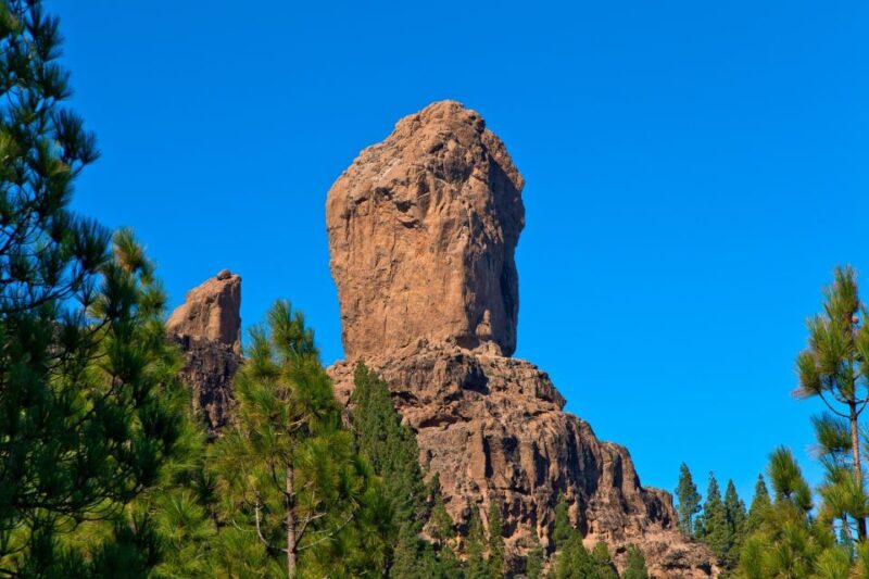 Gran Canaria Highlights Full-Day Tour by Bus - Suitability and Restrictions