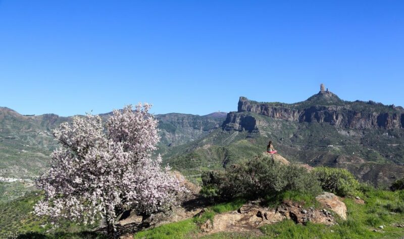 Gran Canaria Highlights Full-Day Tour by Bus - Inclusions and Exclusions