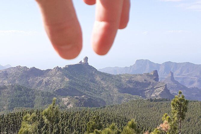 Gran Canaria Highlights Private Tour VIP - Tour Details and Logistics