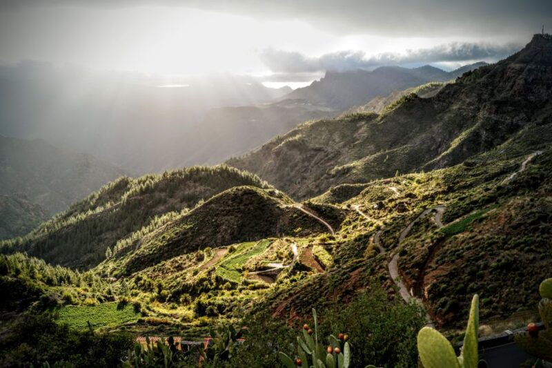 Gran Canaria: Highlights Tour, Hike in the Lauer Forest - Language Options for Guides