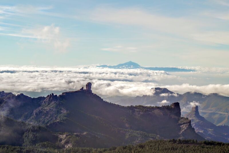 Gran Canaria: Highlights Tour, Hike in the Lauer Forest - Highlights of the Tour