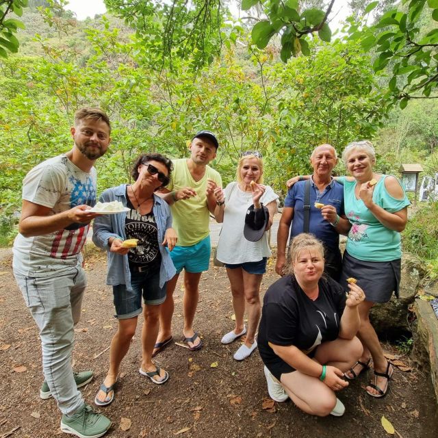 Gran Canaria: Highlights Tour, Hike in the Lauer Forest - What to Bring