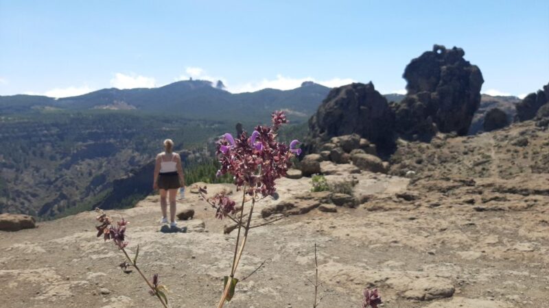 Gran Canaria: Highlights Tour Roque Nublo by 2 Native Guides - Exclusions