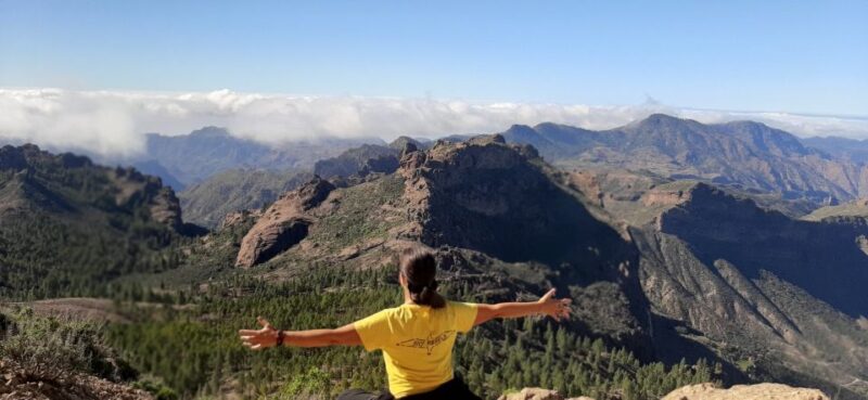 Gran Canaria: Highlights Tour Roque Nublo by 2 Native Guides - Breathtaking Views
