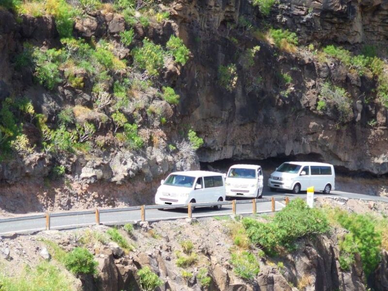Gran Canaria: Island Highlights Tour With Optional Lunch - Islands History, Culture, and Nature