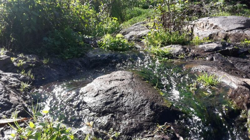 Gran Canaria: Magic Waterfalls Hiking Tour - Key Points