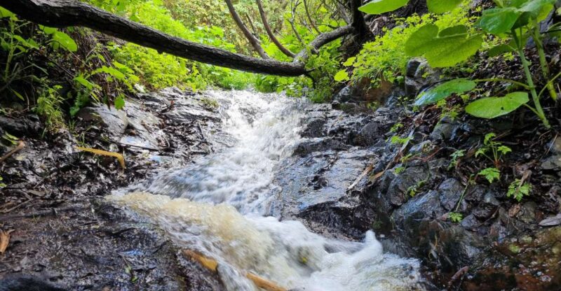 Gran Canaria: Magic Waterfalls Hiking Tour - Highlights