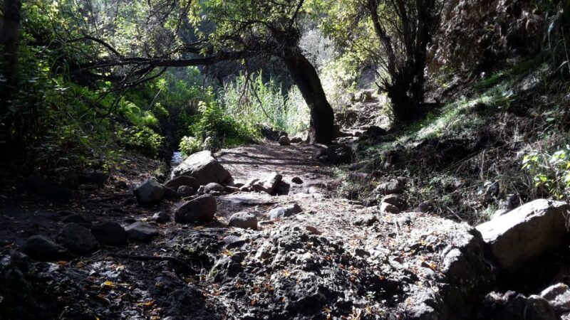 Gran Canaria: Magic Waterfalls Hiking Tour - Suitability