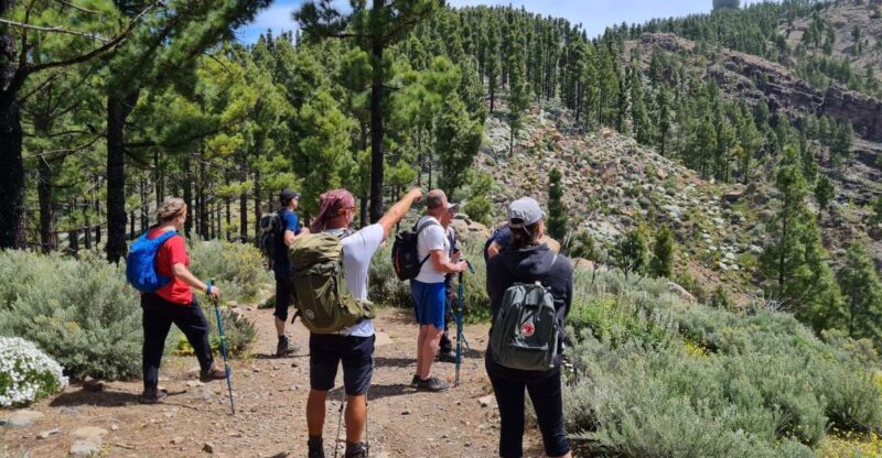 Gran Canaria: Peaks of Gran Canaria Hiking Tour - Key Points