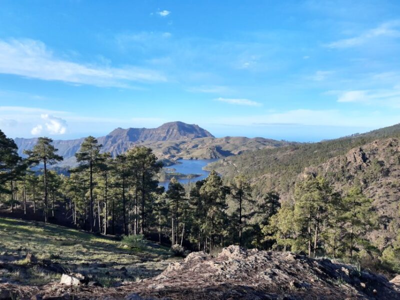 Gran Canaria: Peaks of Gran Canaria Hiking Tour - Hiking Highlights