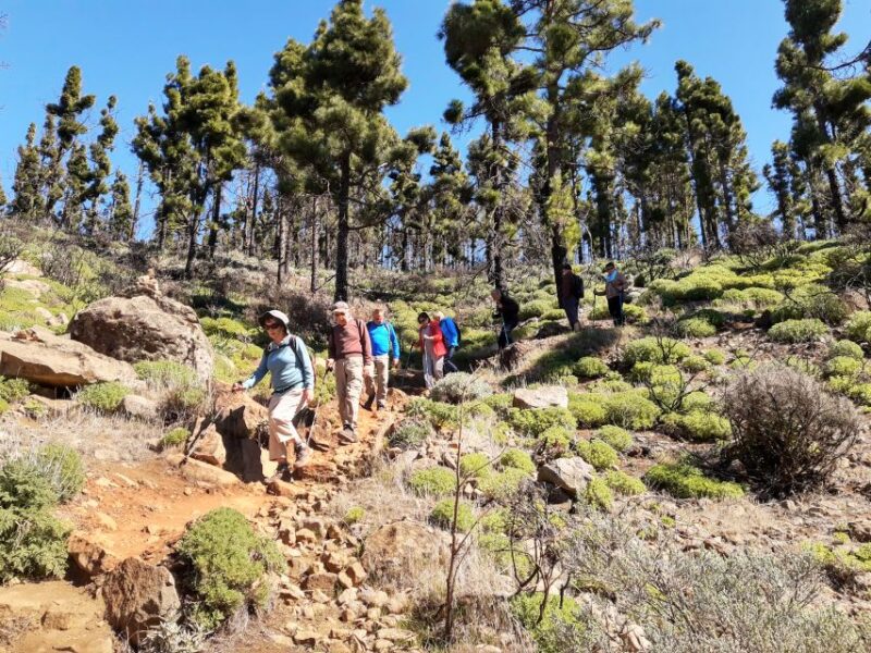 Gran Canaria: Peaks of Gran Canaria Hiking Tour - Full Route Details