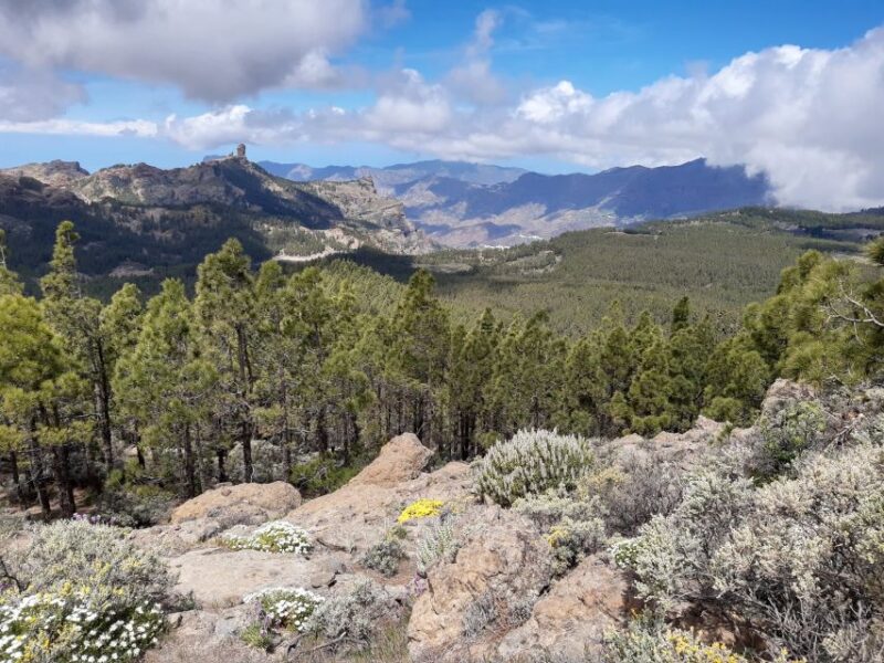 Gran Canaria: Peaks of Gran Canaria Hiking Tour - Difficulty Levels