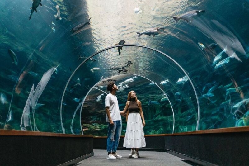 Gran Canaria: Poem of the Sea Skip-the-Line Ticket - Key Points