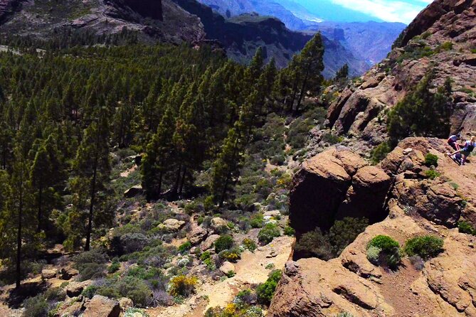 Gran Canaria PRIVATE VIP TOUR With 4K Holiday Video - Inclusions of the Tour