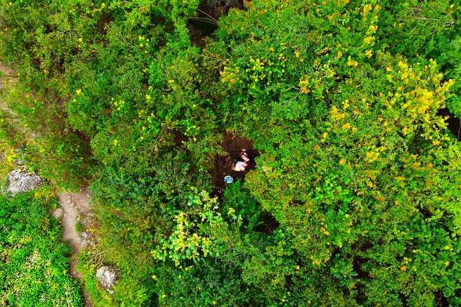 Gran Canaria PRIVATE VIP TOUR With 4K Holiday Video - Contact Options