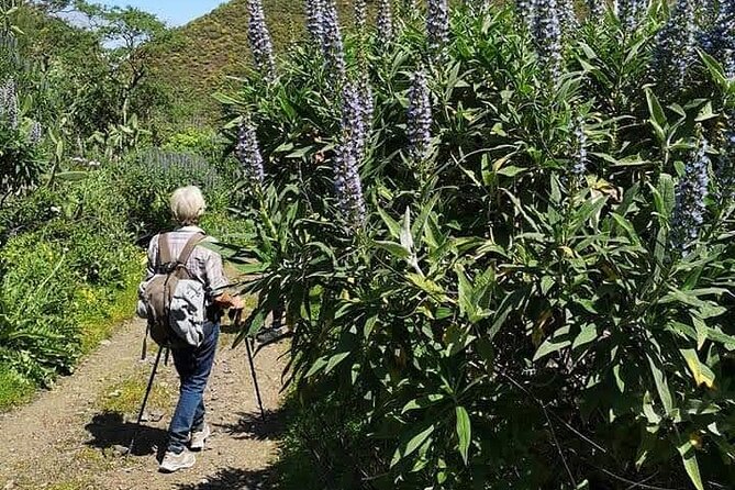 Gran Canaria Private Walks - Tour Details and Inclusions