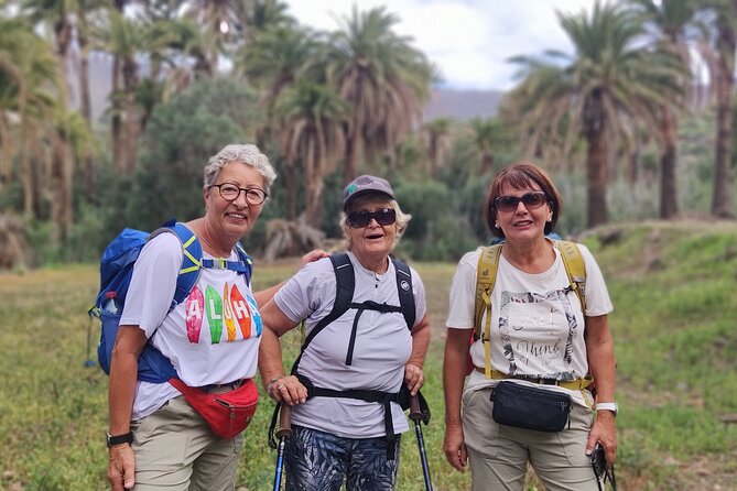 Gran Canaria Private Walks - Customer Ratings and Feedback