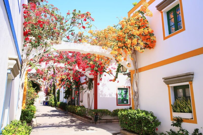 Gran Canaria: Puerto De Mogán Trip With 1-Way Boat Ride - Activity Details