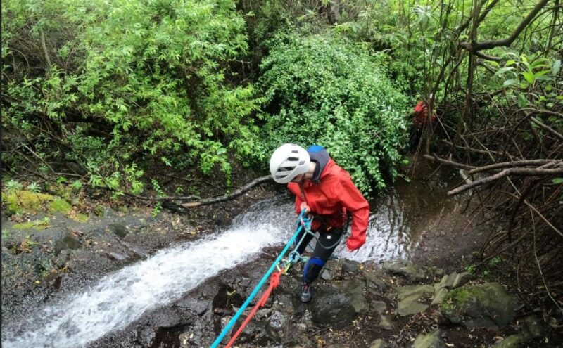 Gran Canaria: Rainforest Canyoning Tour With Gear and Snack - Key Points