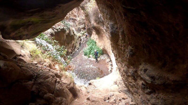 Gran Canaria: Rainforest Canyoning Tour With Gear and Snack - Tour Highlights and Experiences