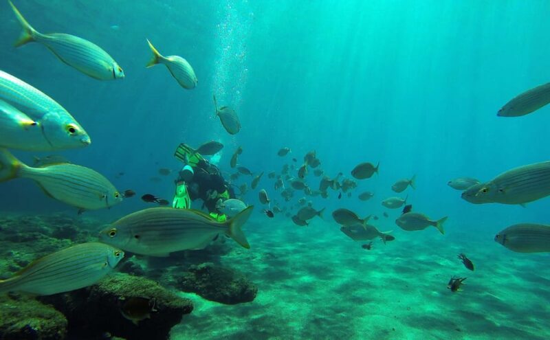 Gran Canaria Scuba Diving: 1-Day 2-Dive Package - Booking and Cancellation Policy