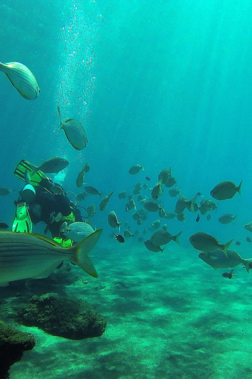 Gran Canaria Scuba Diving: 3-Day 6-Dive Package - Dive Experience Details