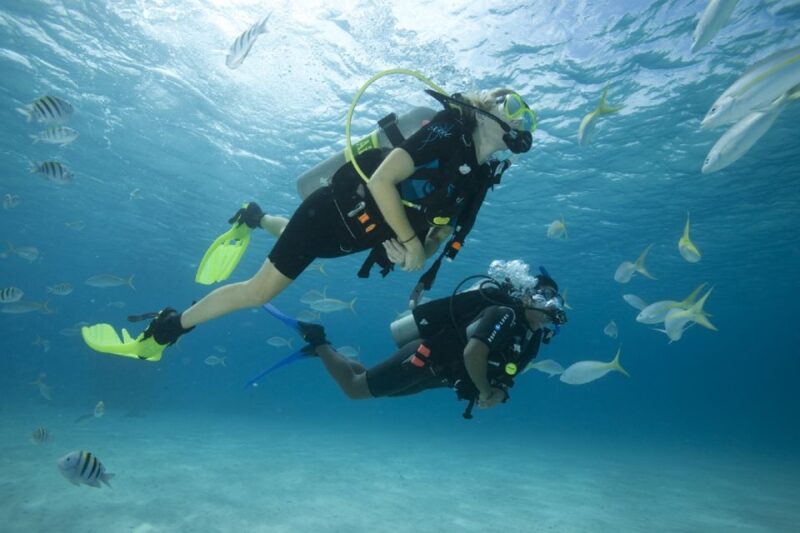 Gran Canaria: Scuba Diving for Beginners - Expectations and Highlights