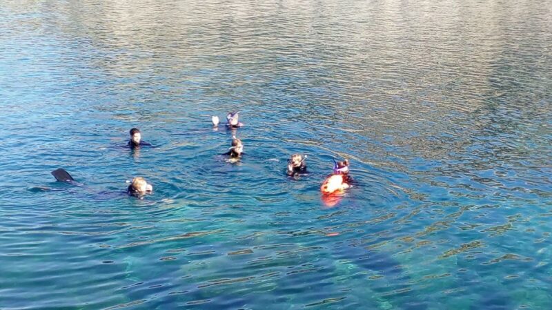 Gran Canaria: Snorkeling Trip - Key Points