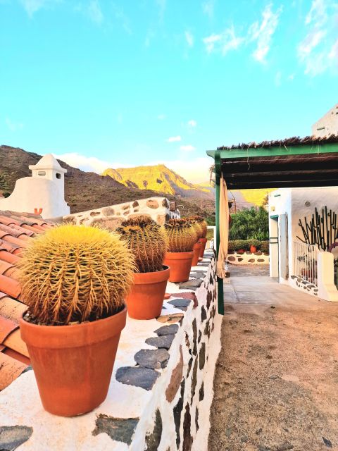 Gran Canaria: Spanish Tapas and Wine Tasting Tour in Mogan - Canarian Cheese and Tapas Tasting