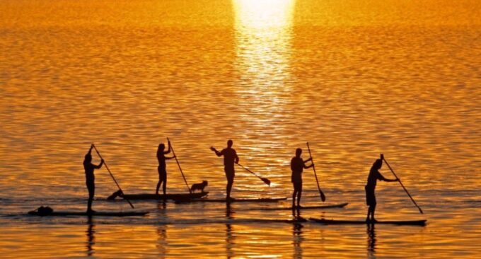 Gran Canaria: Stand-Up Paddle Lesson & Snorkeling Tour - Learning From Skilled Instructors