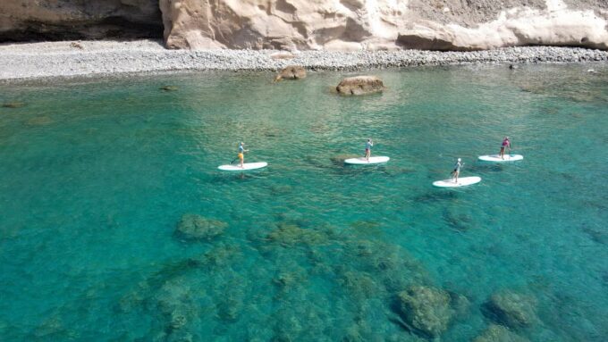Gran Canaria : Stand Up Paddle (SUP) Tour - Coastal Views and Sightings