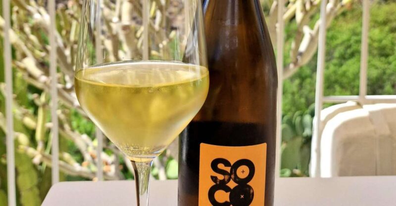 Gran Canaria: Tasting Wine & Local Cheese - Private Guided Tour Experience