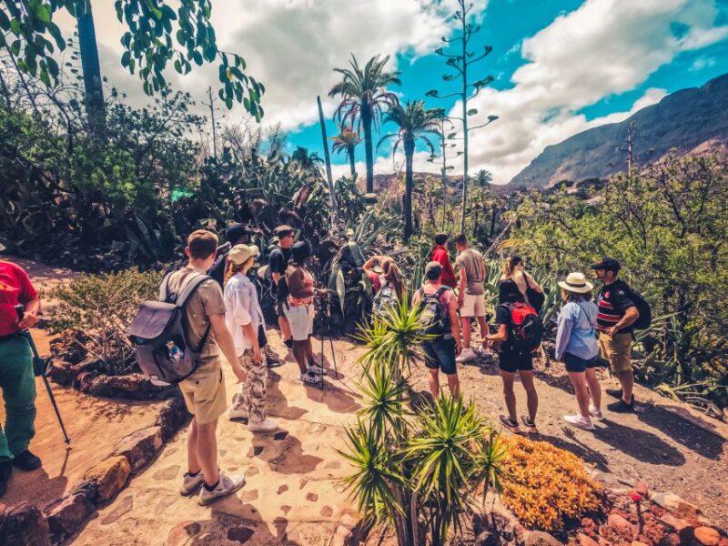 Gran Canaria: the Red Canyon Tour With Local Food Tasting - Highlights of the Tour