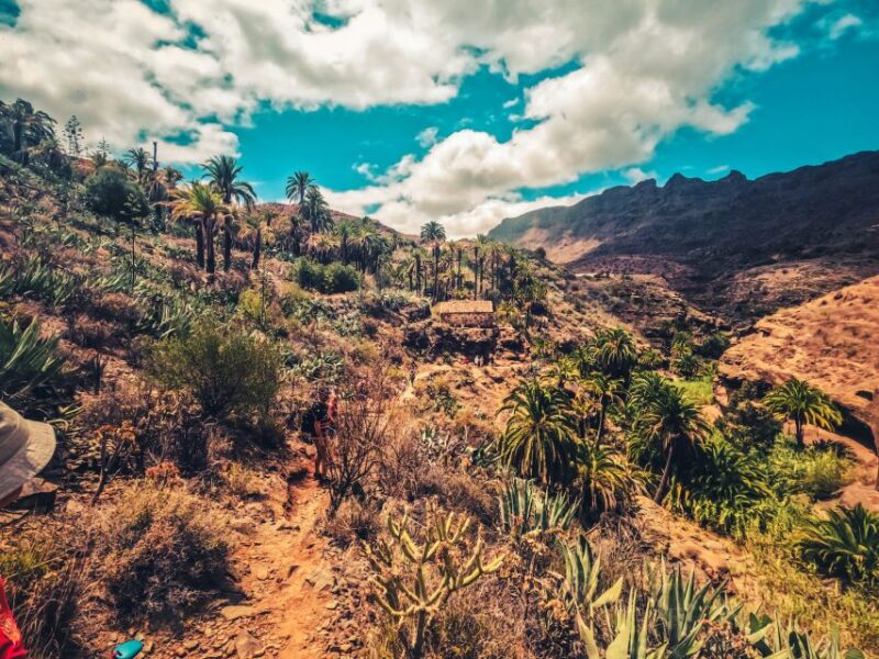 Gran Canaria: the Red Canyon Tour With Local Food Tasting - Inclusions and Restrictions