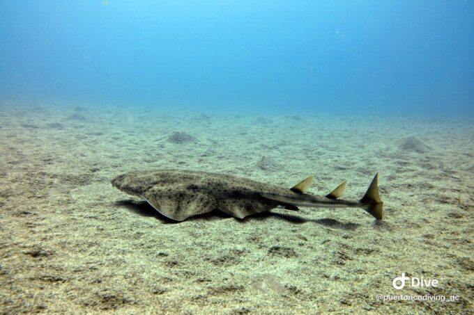 Gran Canaria: Try Scuba Diving for Beginners - Participation Requirements