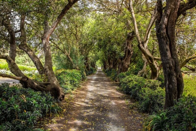 Gran Canaria: Winery Tour, Wine Museum, and Tasting - Key Points