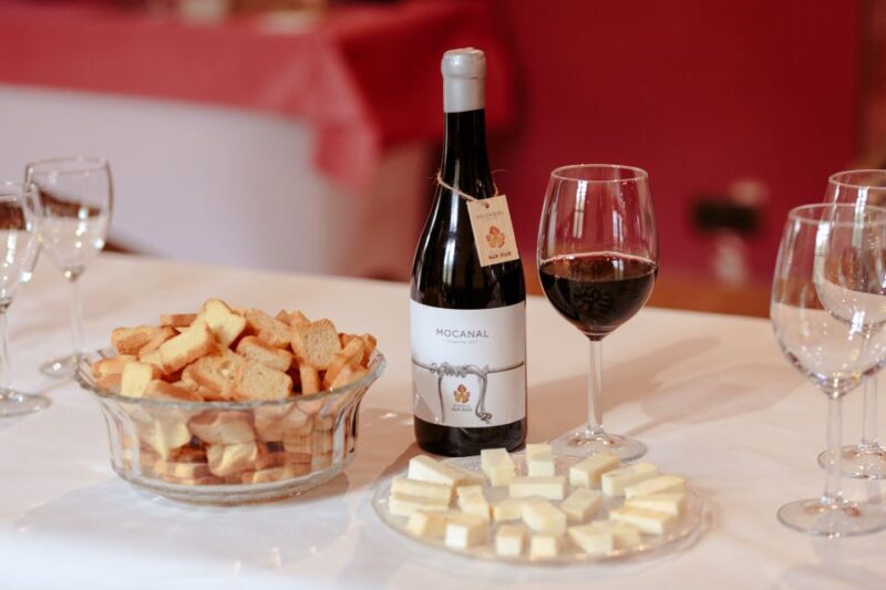 Gran Canaria: Winery Tour, Wine Museum, and Tasting - Tour Details