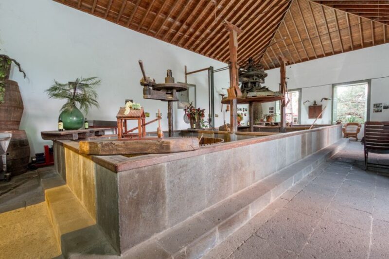 Gran Canaria: Winery Tour, Wine Museum, and Tasting - Customer Reviews