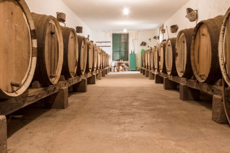 Gran Canaria: Winery Tour, Wine Museum, and Tasting - Important Information