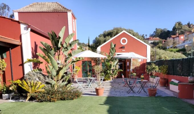 Gran Canaria: Winery Tour, Wine Museum, and Tasting - Wine Museum