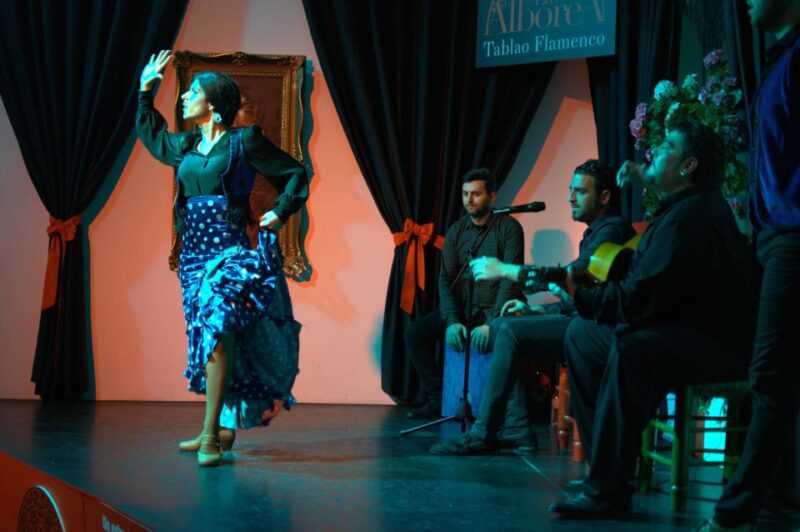 Granada 1-Hour Authentic Flamenco Show - Experience Highlights