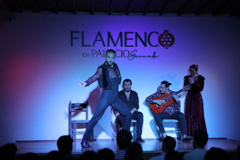 Granada: 1-Hour Traditional Flamenco Show at Palacio - Show Highlights